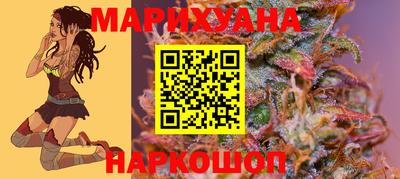 крисы Донской